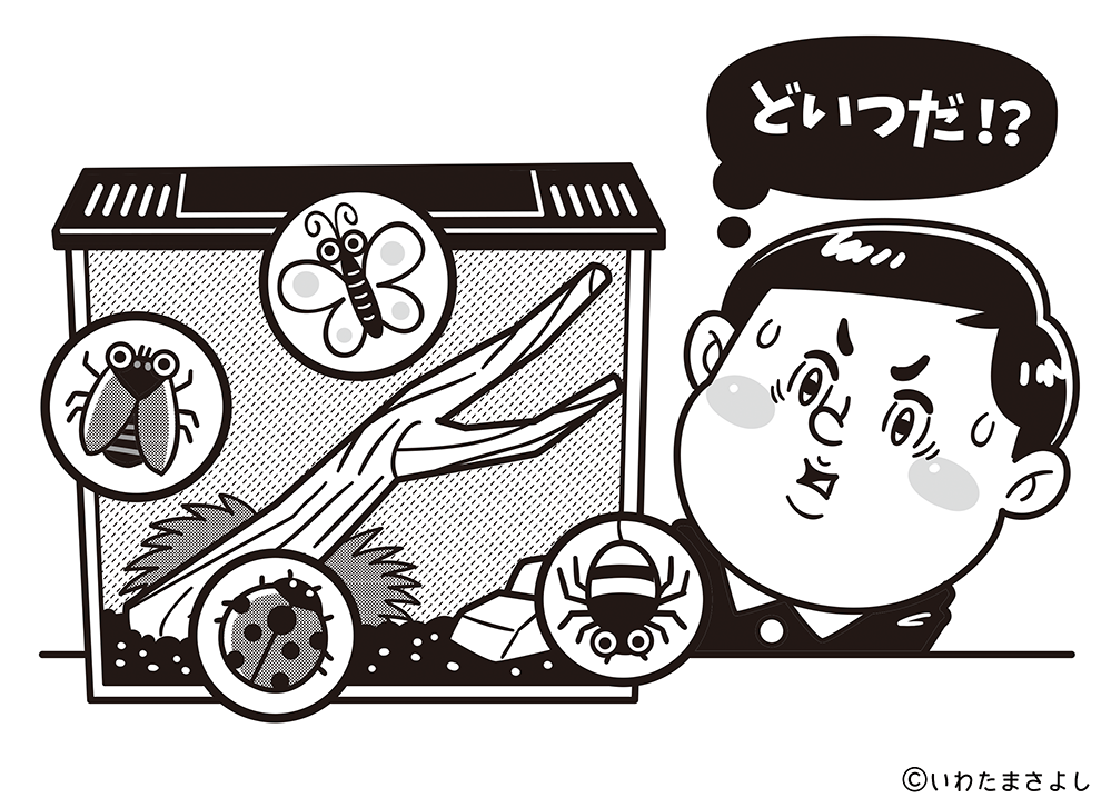 絵で見て脳トレ！なぞなぞイラスト