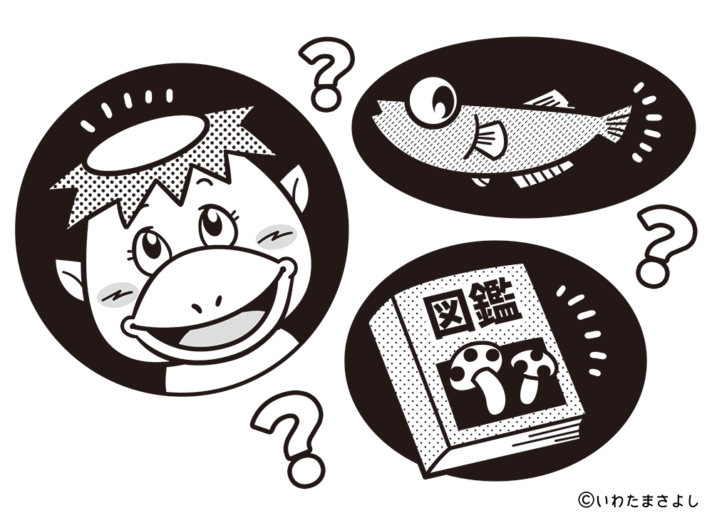 絵で見て脳トレ！なぞなぞイラスト