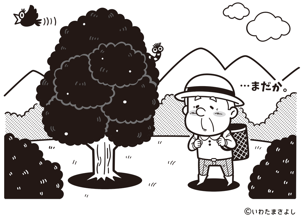 絵で見て脳トレ！なぞなぞイラスト